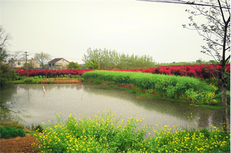 IM电竞环保-快乐IM电竞环湖毅行沿途风景